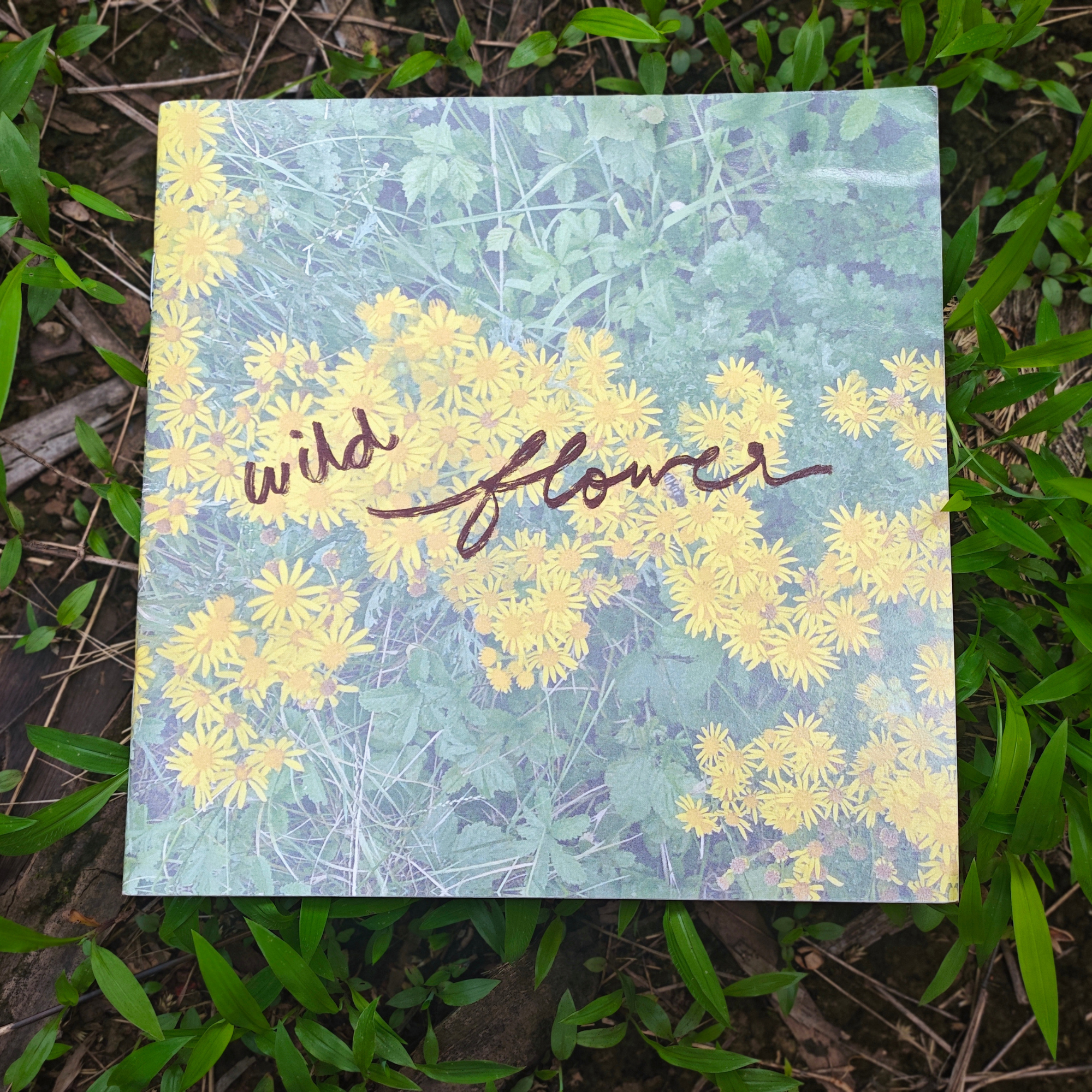 Wildflower