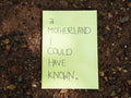 "A Motherland I Could Have Known" zine cover — handwritten title on pale green paper, resting on red Goan earth and pebbles