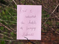 "How I Inherited the Habit of Burying Sadness" zine cover — handwritten title on pink paper with wavy white lines, nestled among dry branches and twigs