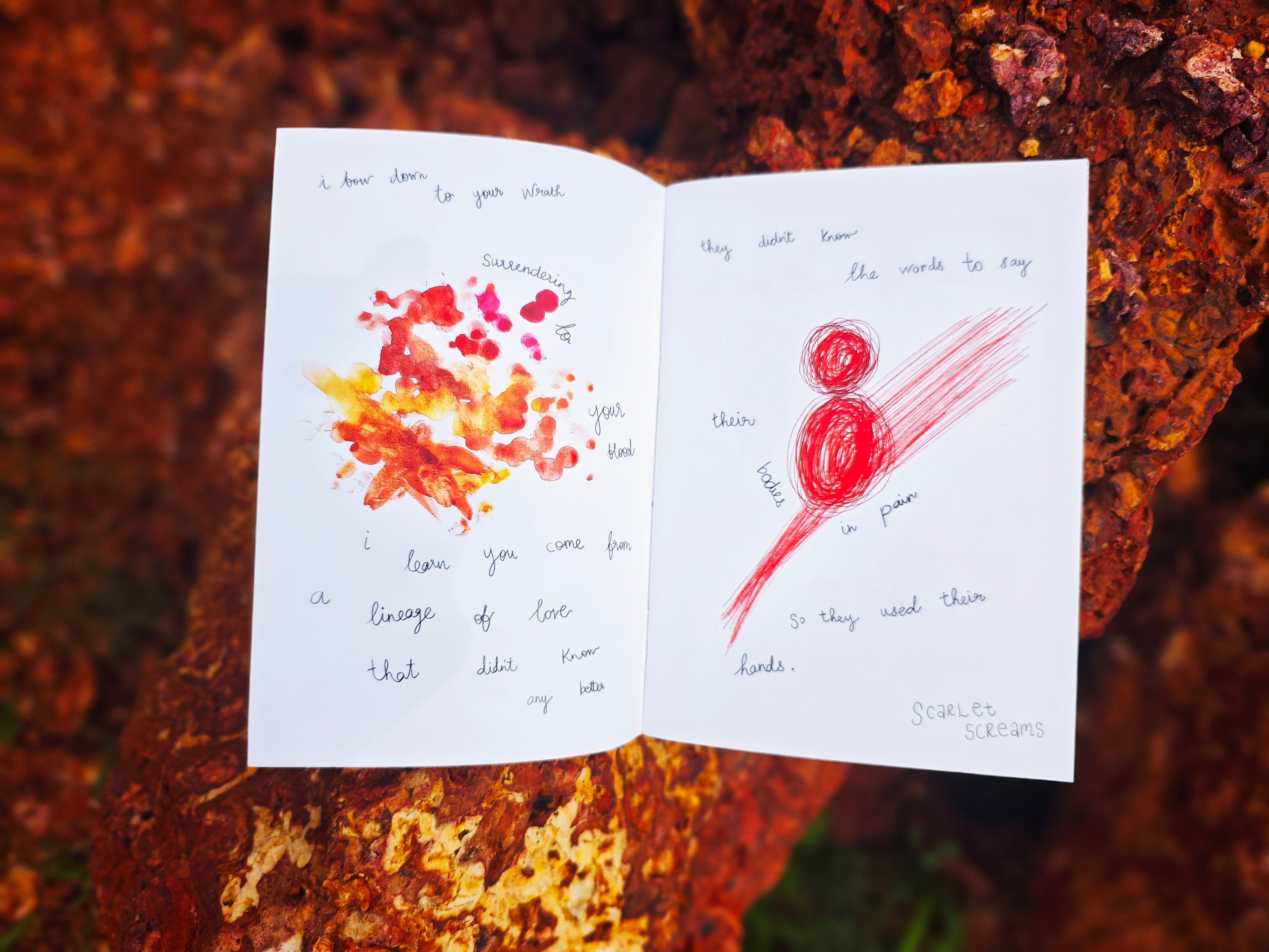 Open spread on laterite rock — left page with orange watercolour splatters and handwritten text "i bow down to your wrath, surrendering to your blood", right page reads "scarlet screams" with red circular scribble drawing
