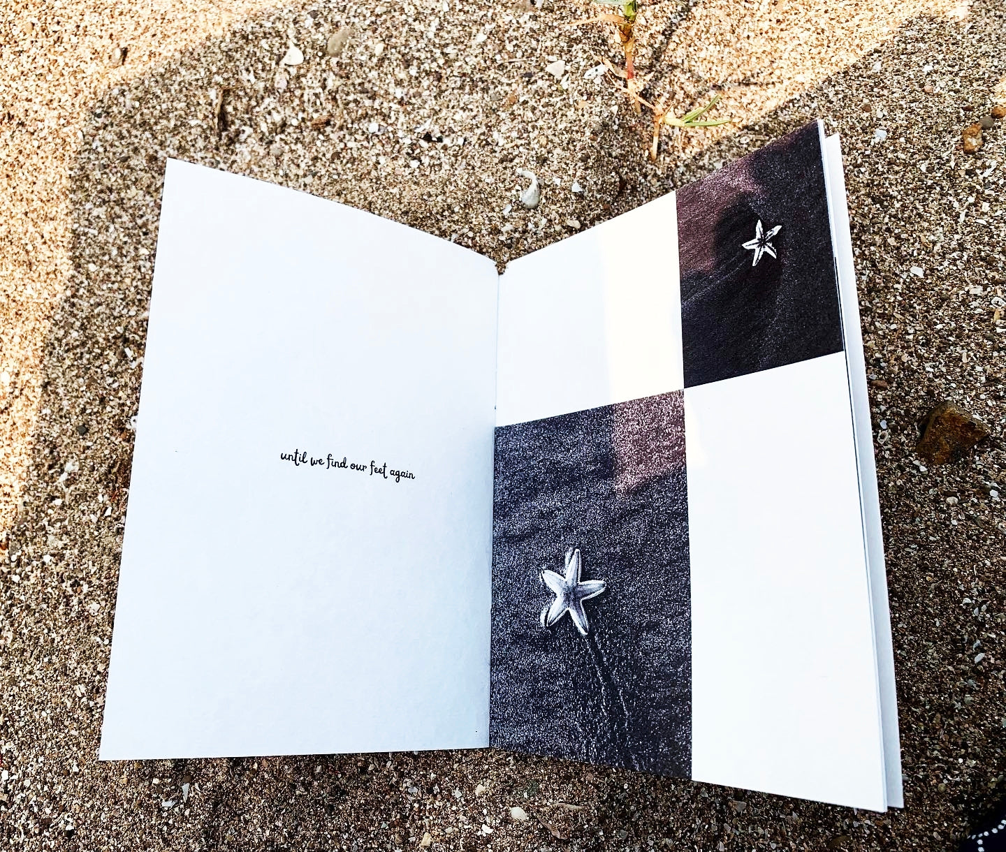 Open spread on sand — left page with small text, right page with black and white photographs of starfish on dark beach