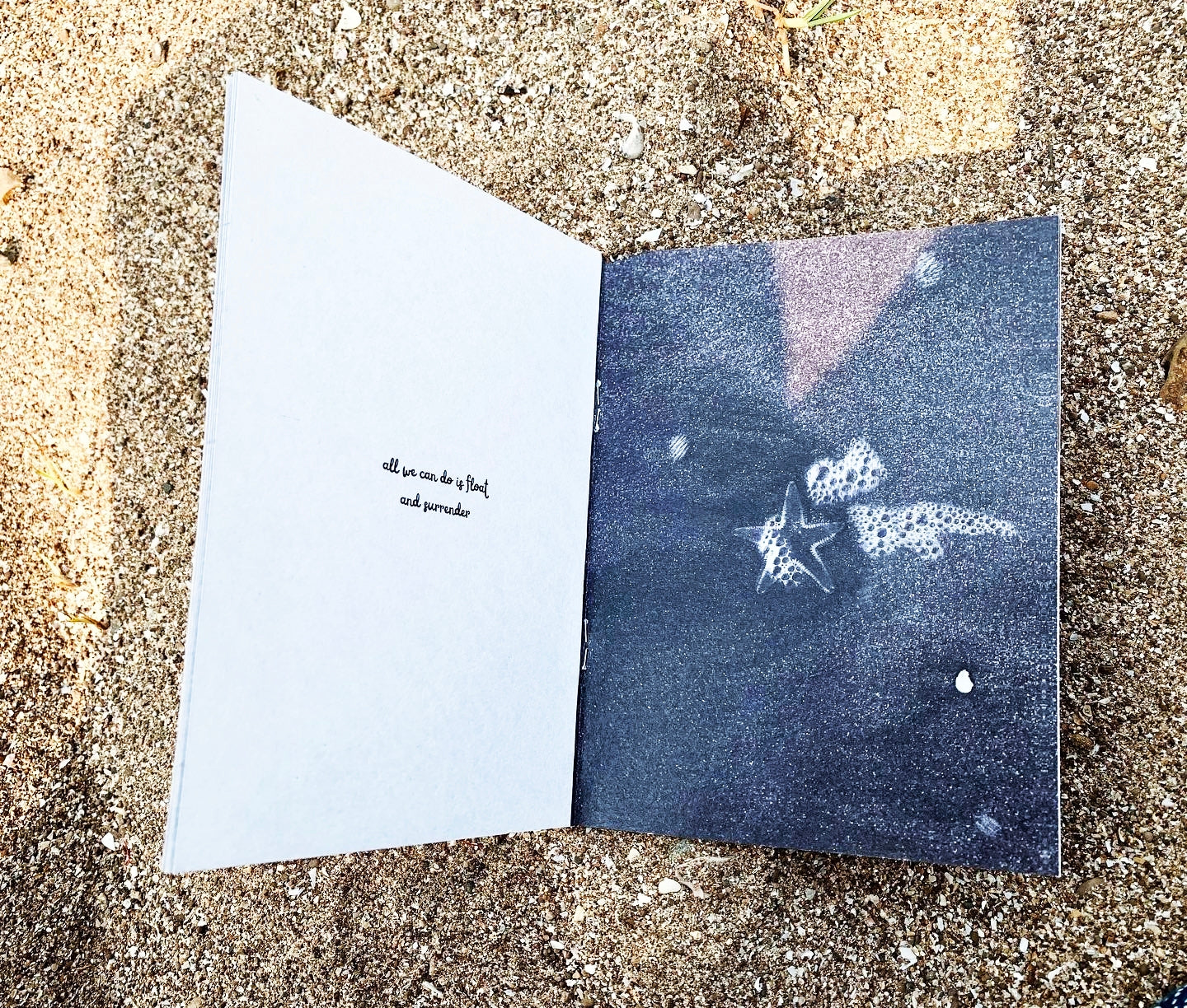 Open spread on sand — left page reads "all you can do is float and surrender", right page shows black and white underwater photograph of starfish