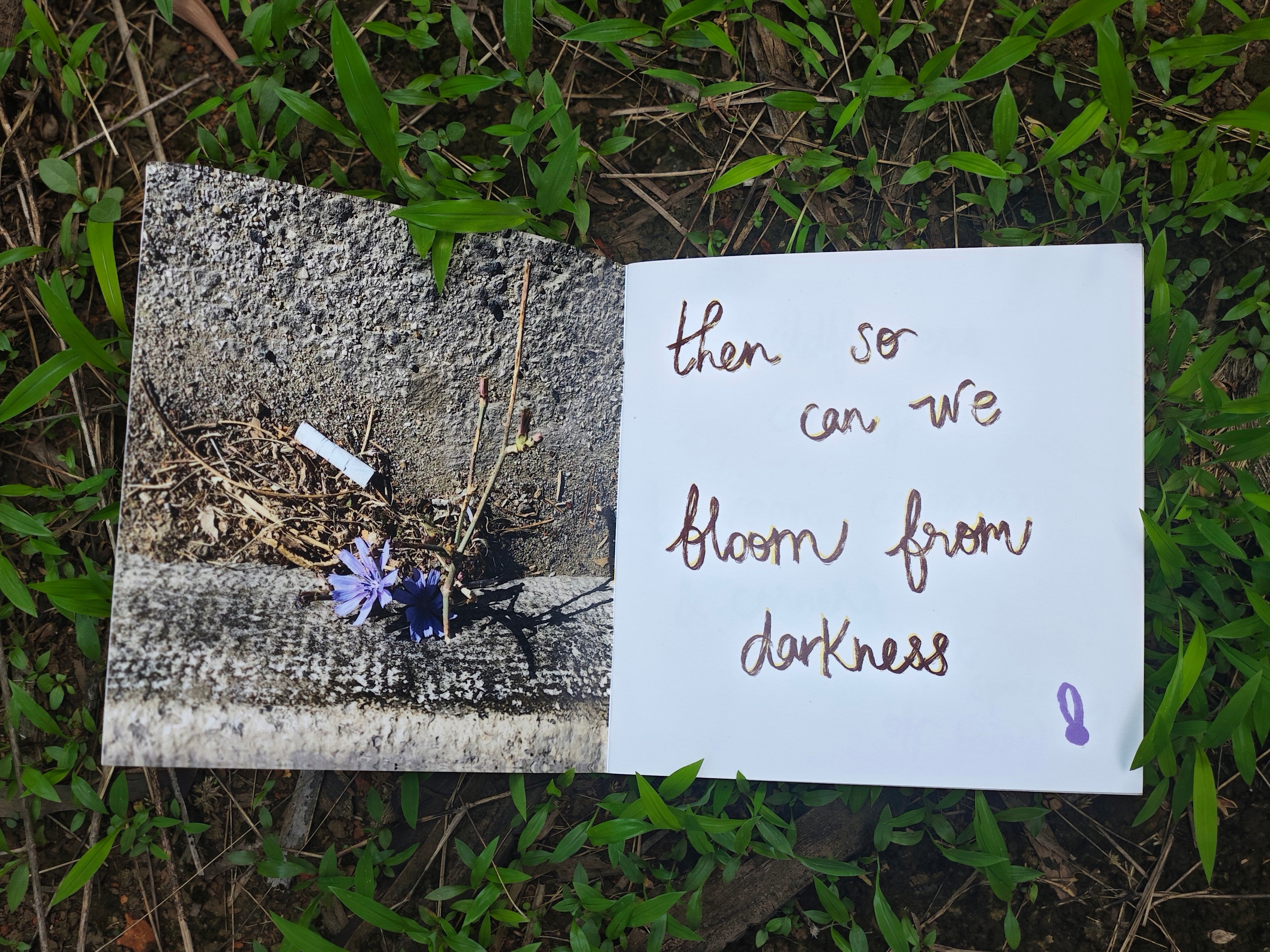 Open spread on grass — left page with photograph of small purple flower growing from concrete crack, right page with handwritten text "then so can we bloom from darkness" and small purple flower doodle